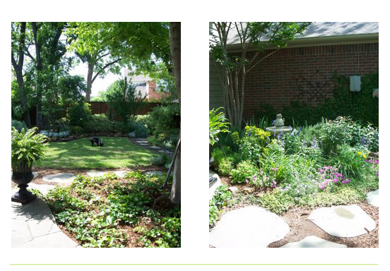 Beautiful Florida Lawn