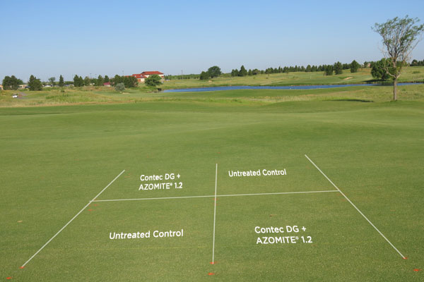 Turf Grass Study, Lubbock Texas